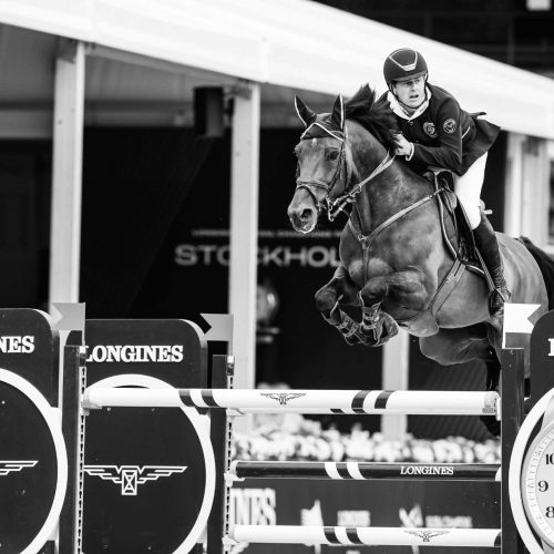 LGCT_STOCKHOLM_119_Johnny Pals_Zarkava Hero Z_CSI5_ 1.55m - GCL ROUND 1_17062023_1DL_9877-2
